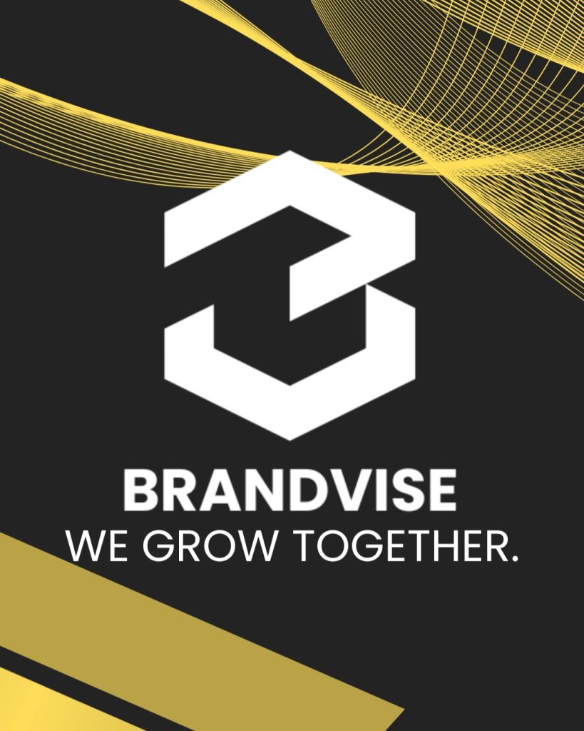 Agencija za digitalni marketing Brandvise