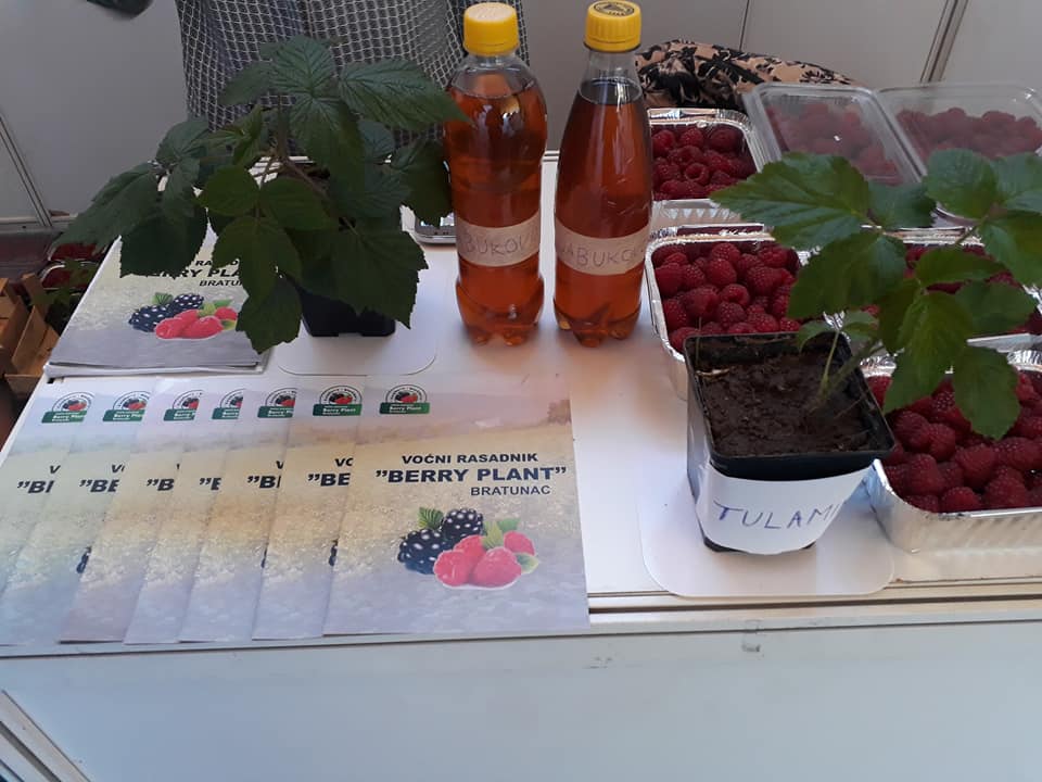 487512386_2075450346308851_314960280740374541_n