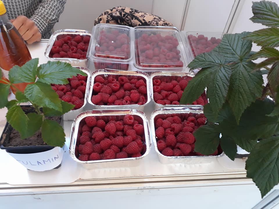 487840512_2075450342975518_9184553060352457909_n