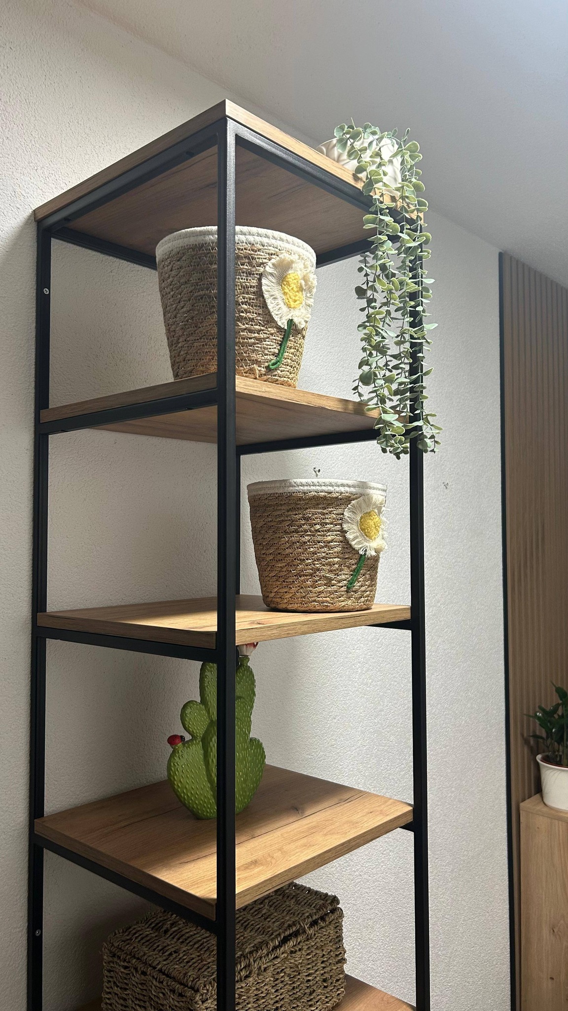 650684207_122121492309154243_2579004318872665095_n