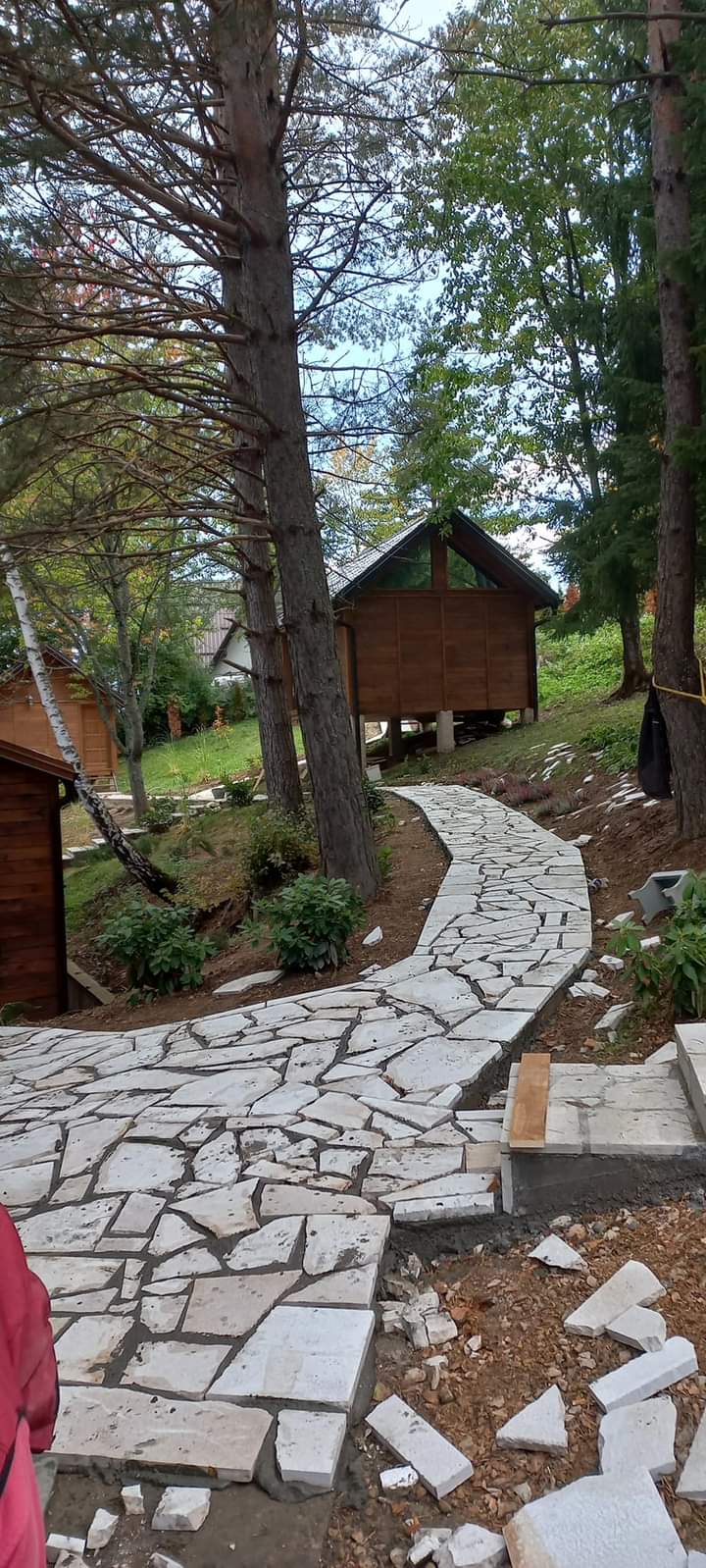 FB_IMG_1677612286832